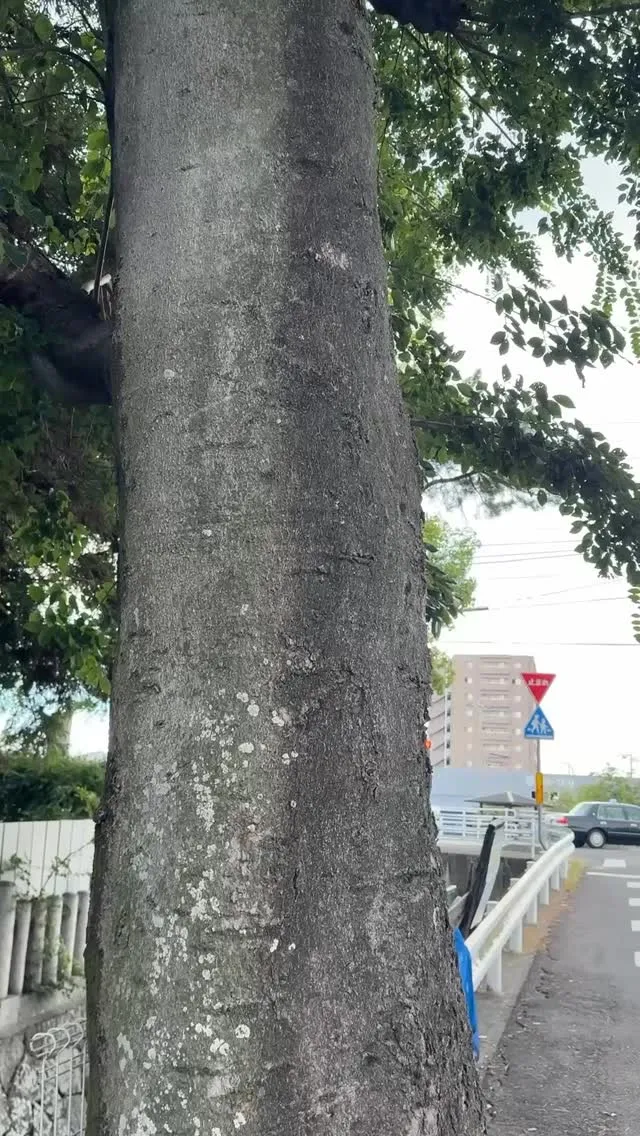 こんにちは😊 真心建装です。